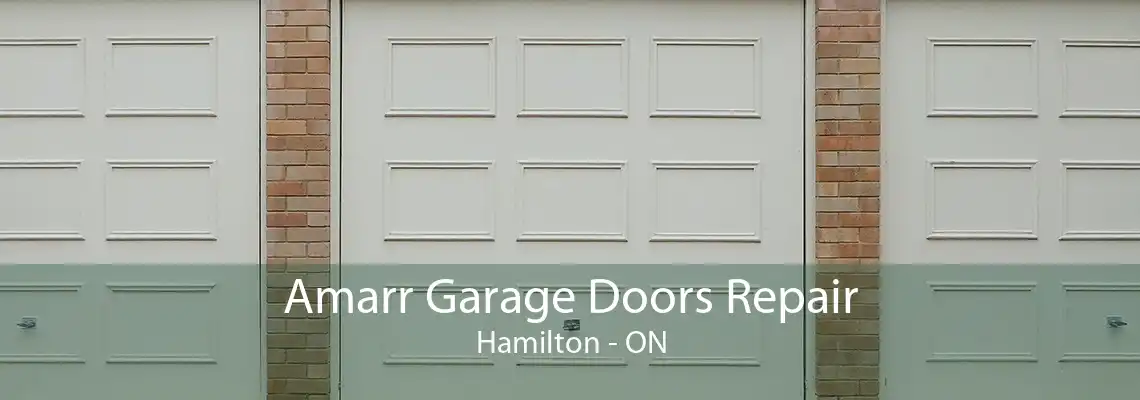 Amarr Garage Doors Repair Hamilton - ON