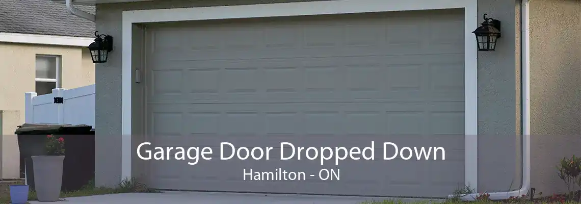 Garage Door Dropped Down Hamilton - ON