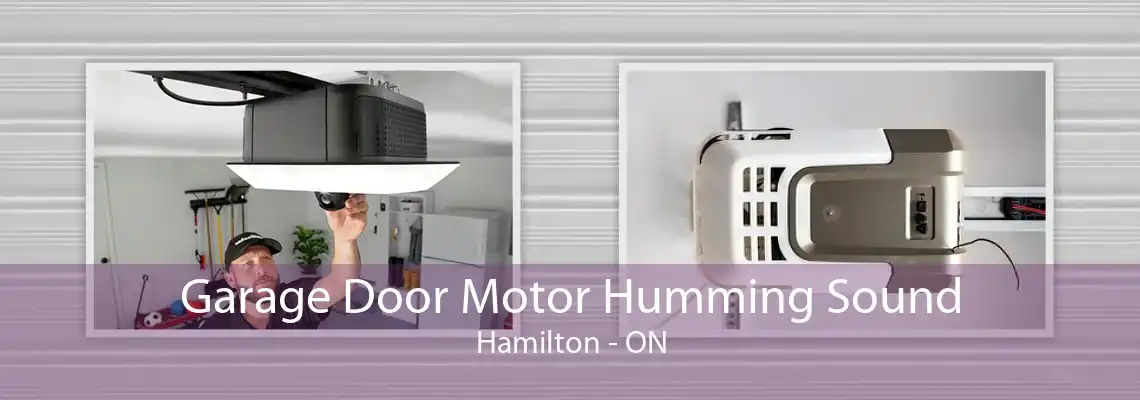 Garage Door Motor Humming Sound Hamilton - ON