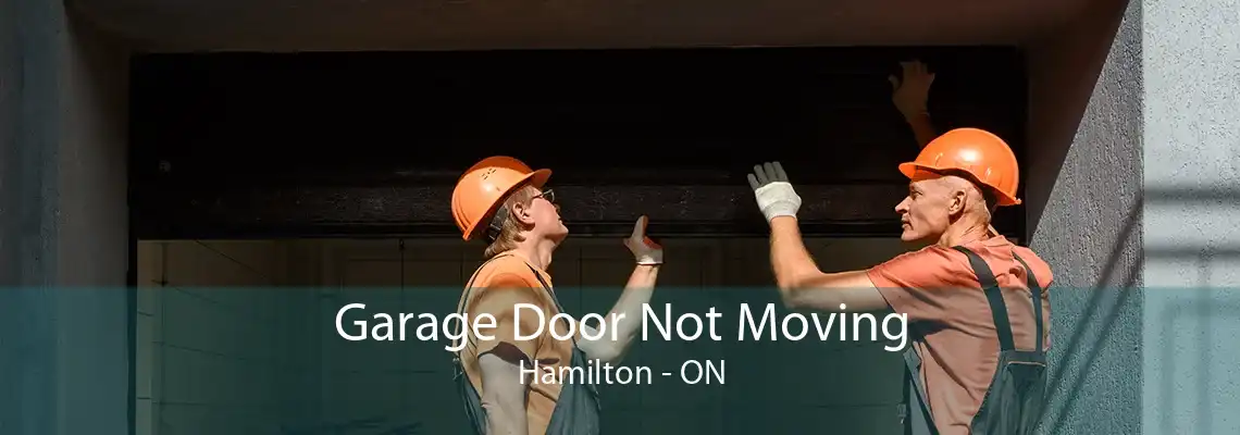 Garage Door Not Moving Hamilton - ON