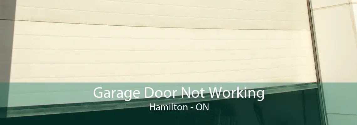 Garage Door Not Working Hamilton - ON