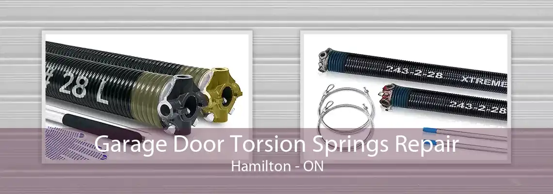 Garage Door Torsion Springs Repair Hamilton - ON