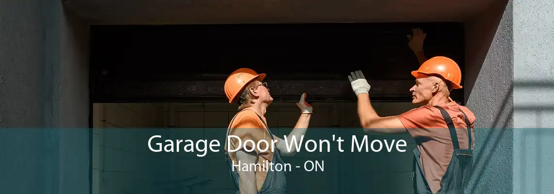 Garage Door Won't Move Hamilton - ON